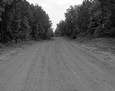 Dirt Road to the Bottom...