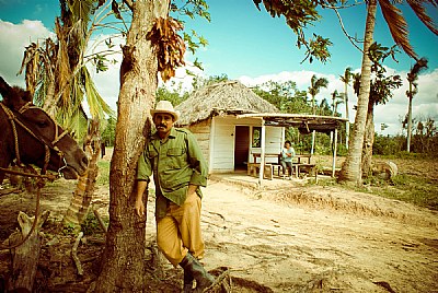 The Tobacco Farmer