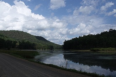 The Murky Wetlands 