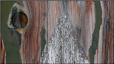 wood abstract