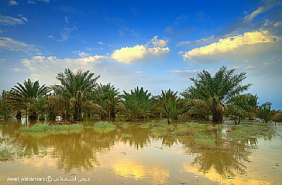 Palm reflection