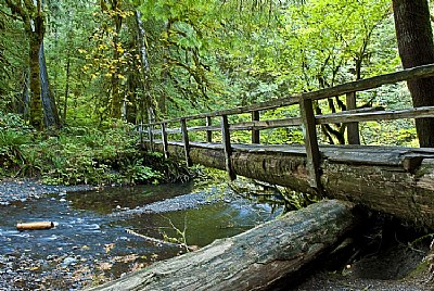 Olympic Peninsula