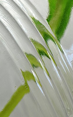Green Under Glass