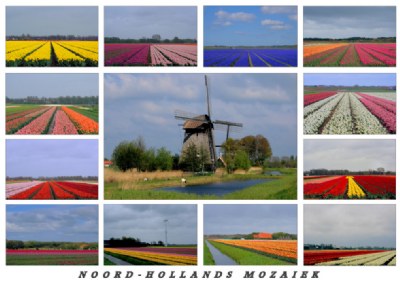 Holland