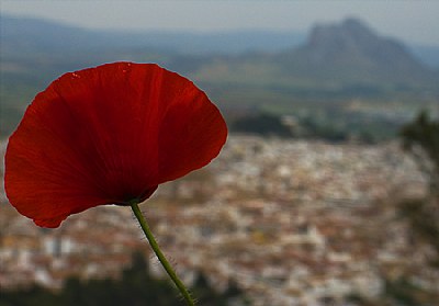 Antequera Dreaming