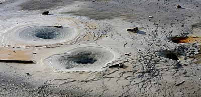 Hot Springs in Norris Geyser Basin