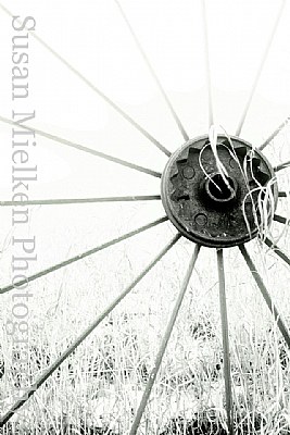 The Wheel