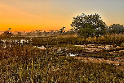 Dawn At Waterhole