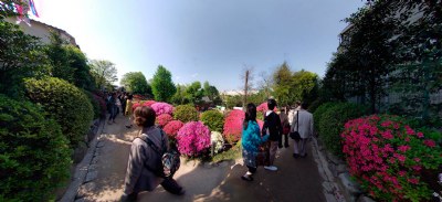 Nezu Azalea Festival