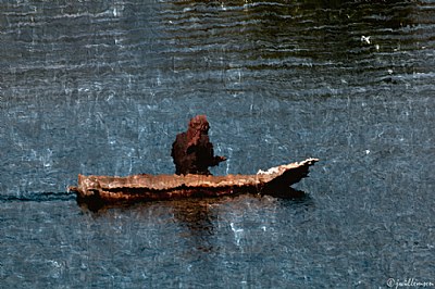 Pescador Atiteco