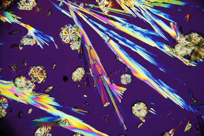 Photo microscopy