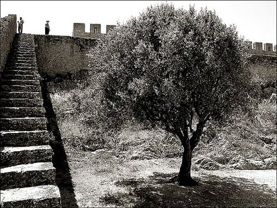 Óbidos - Portugal ... 4