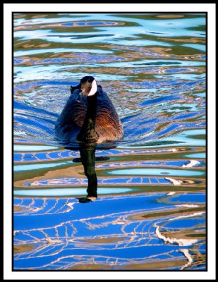 Victoria Day reflections