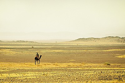 Alone in the desert