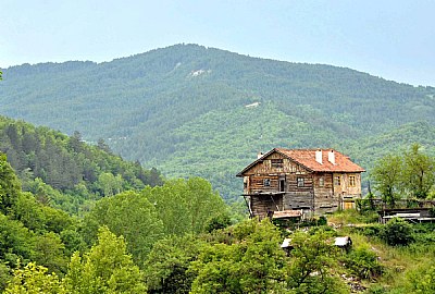 Pinarbasi/Kastamonu