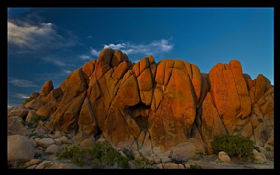 Joshua Tree NP