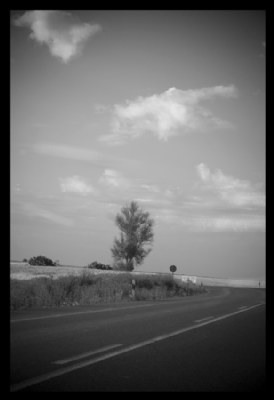Camino