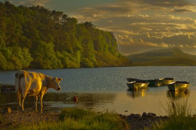 Evening Light. Crag Lough