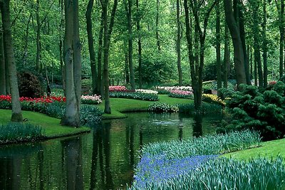 Keukenhof Gardens, Holland