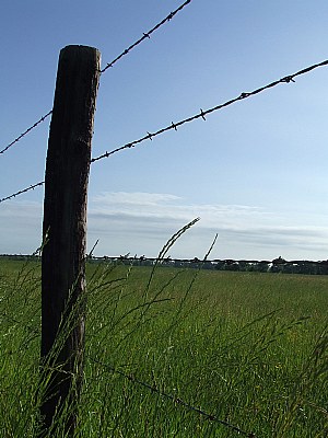 Country Road Fence