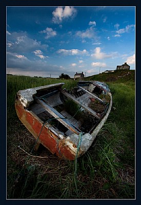 Out to Pasture