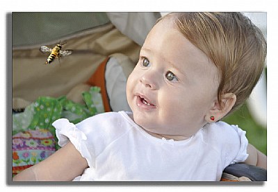 baby and a bee
