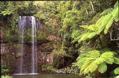 Milla Milla Falls, Australia