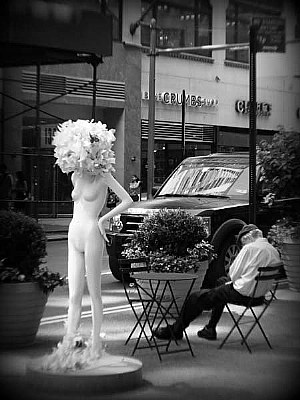 Sidewalk Catwalk (1)