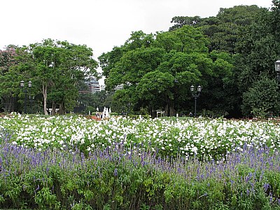 Rosedal Buenos aires