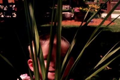 Hiding in the Garden