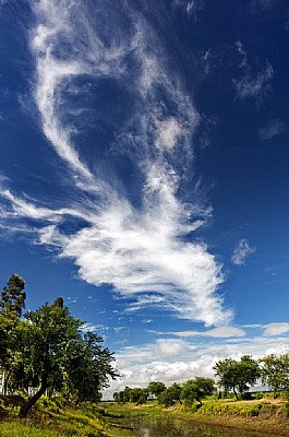 Acrobats in the sky