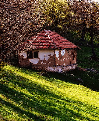 Abandoned shepherd's hut