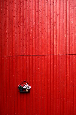  in the red