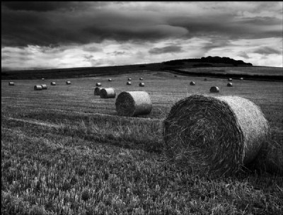 harvest put on hold