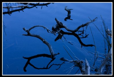 Manzanita Lake