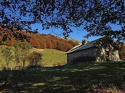 Shepherd's huts