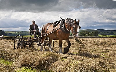 Rolling the Hay