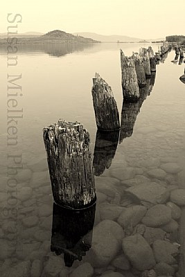 The old Dock