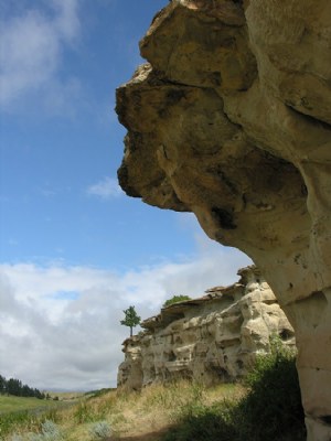 Buffalo Jump