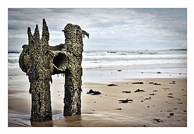 Coastal Decay