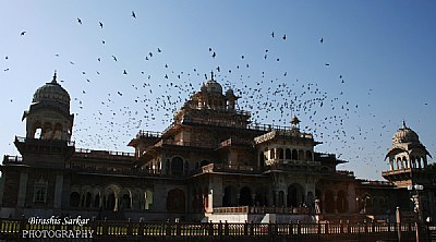 Flight of Freedom