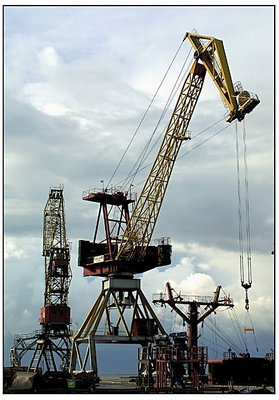 Thunderstorm is coming, cranes are  in worry...