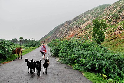 Country Road