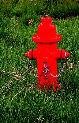 Cornhusker Red Hydrant