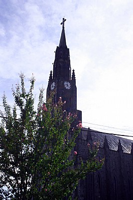 Tree & Cathedral