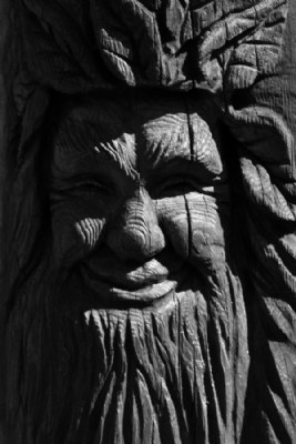 Spirit of the forest