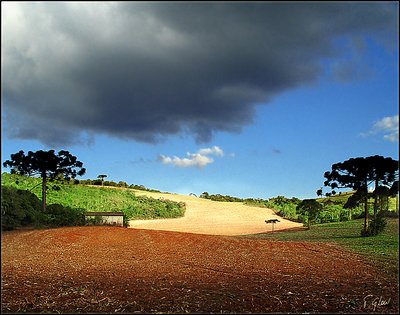 Paraná Rural