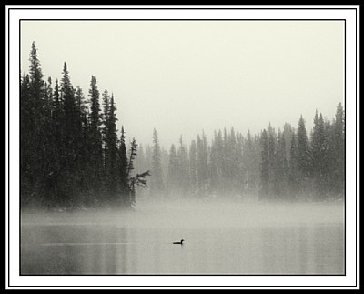Alone in the dusk