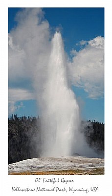 Old Faithful