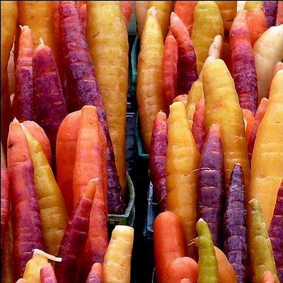 Colourful Carrots